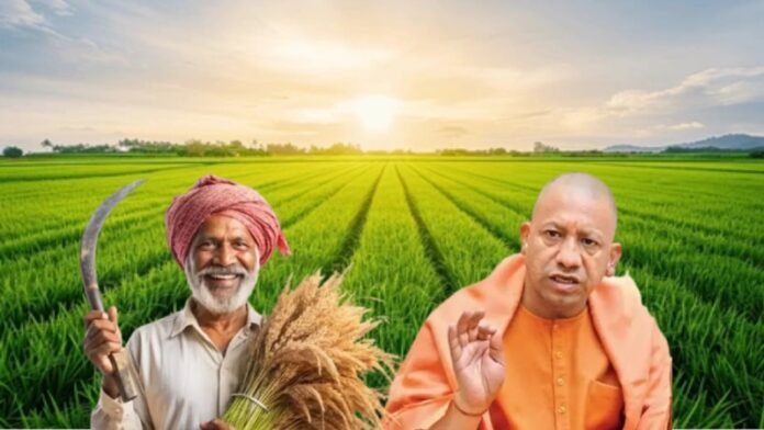Need written consent from 75% of farmers before starting consolidation