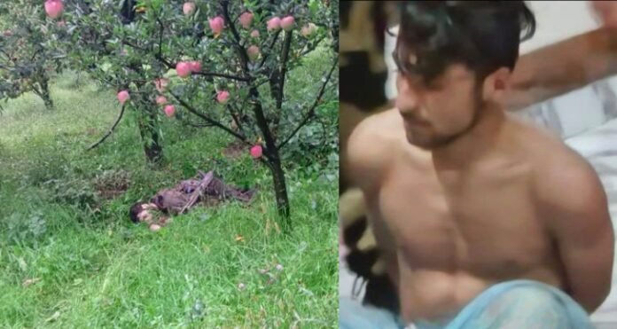 The operation continues in the forests